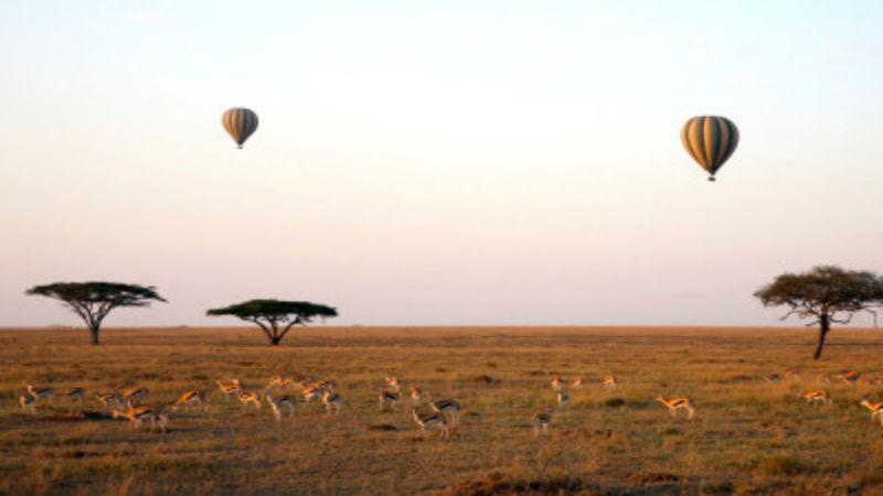 5 Packing Tips for Your Tanzanian Safari